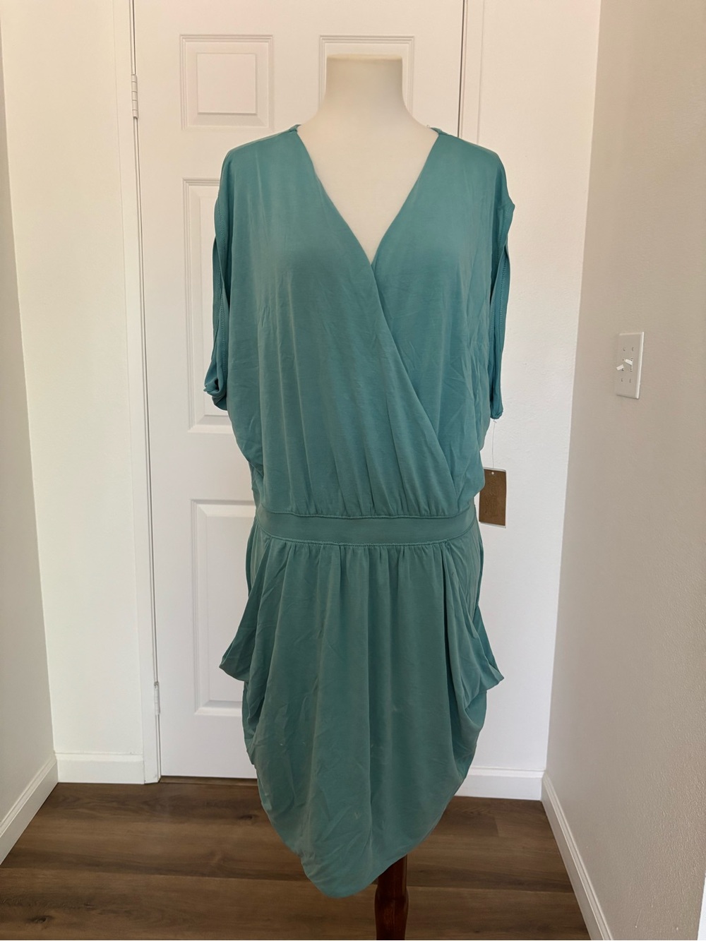 NWT RACHEL Rachel Roy Dress